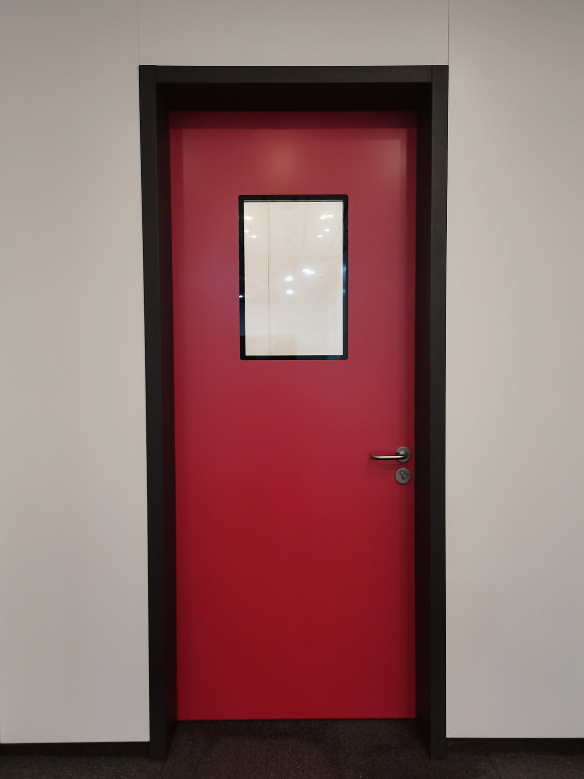 鋼質(zhì)雙玻單開門